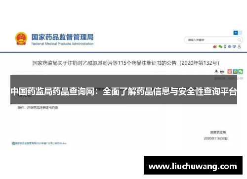 中国药监局药品查询网：全面了解药品信息与安全性查询平台
