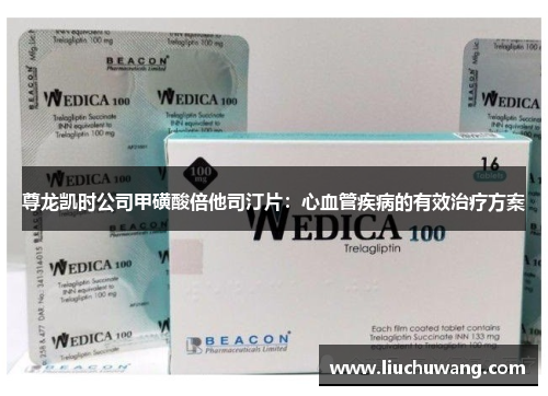 尊龙凯时公司甲磺酸倍他司汀片：心血管疾病的有效治疗方案