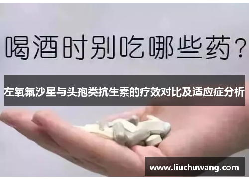 左氧氟沙星与头孢类抗生素的疗效对比及适应症分析