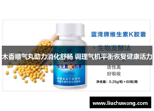 木香顺气丸助力消化舒畅 调理气机平衡恢复健康活力