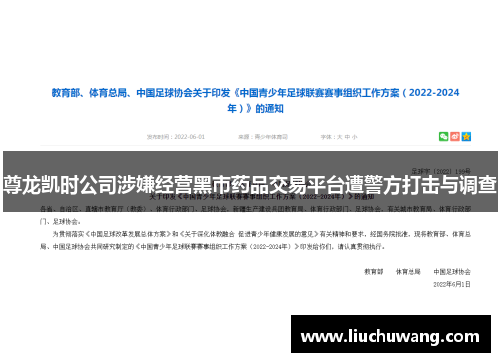 尊龙凯时公司涉嫌经营黑市药品交易平台遭警方打击与调查
